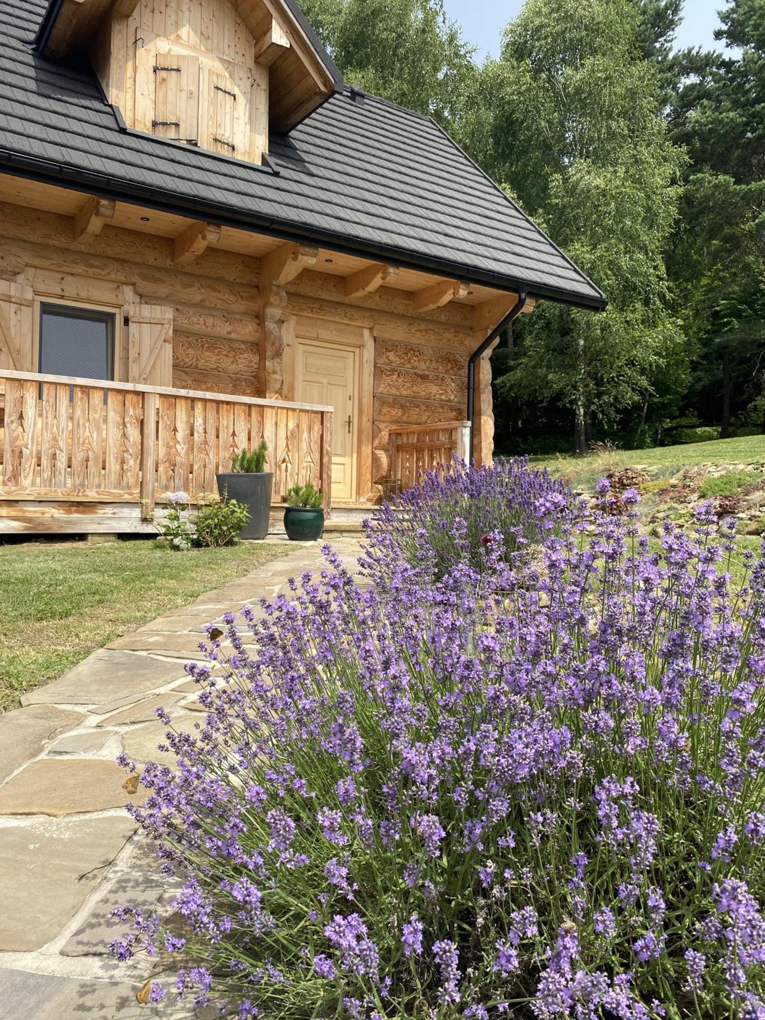 Apartamento Jurkowa Wola Jureczkowa Exterior foto
