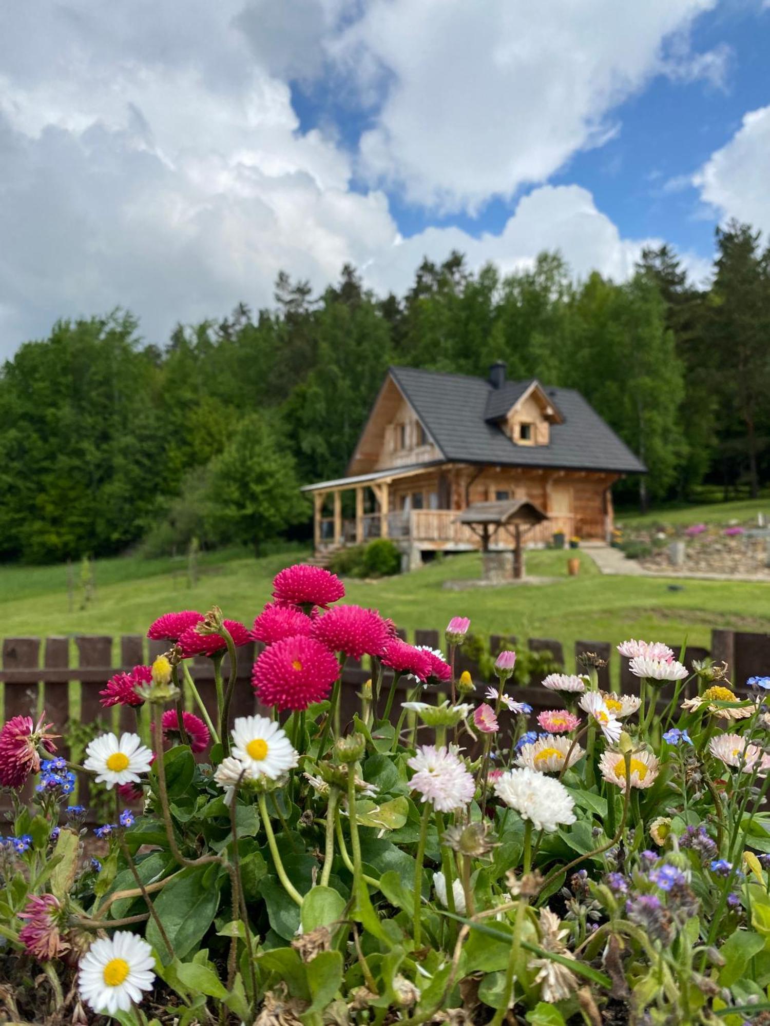 Apartamento Jurkowa Wola Jureczkowa Exterior foto